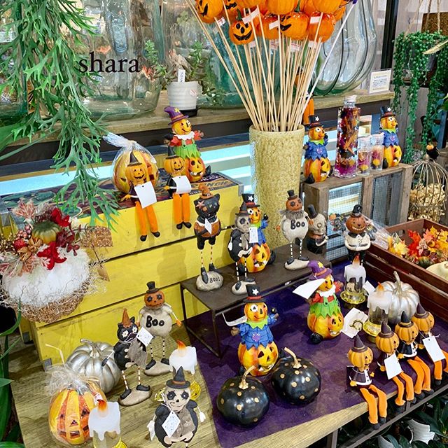 ハロウィン &♪ １０月のアレンジ教室のご案内 ♪．店内のハロウィンコーナーです可愛いハロウィングッズ豊富に取り揃えております。．１０月のアレンジメント教室もご予約お待ちしています︎．@flowergiftshara